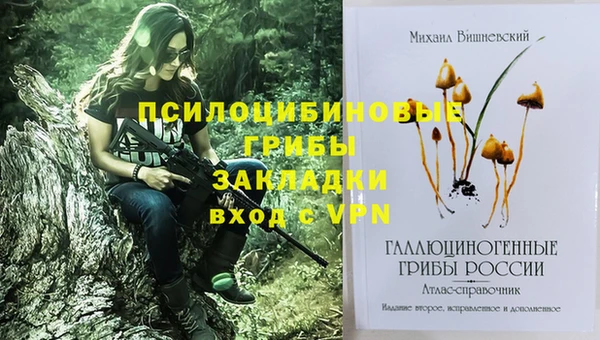 spice Алзамай