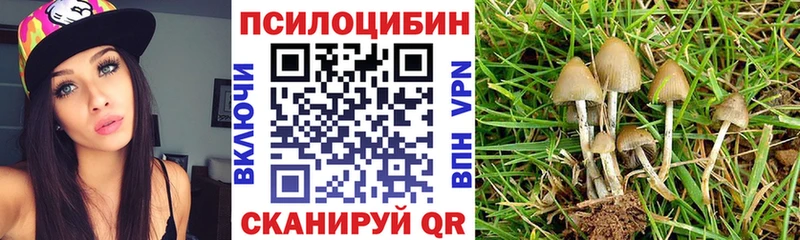 нарко площадка Telegram  Туймазы  Галлюциногенные грибы MAGIC MUSHROOMS 